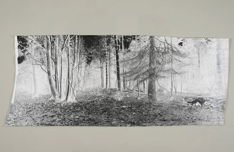 David Gates 'Standard Image 2' unique photograph 89×212cm/35×83.5in (approx) 2014 (photograph by Andy Keate)