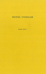 Ansel Krut 'Hotel Vinegar' – domobaal editions 2006