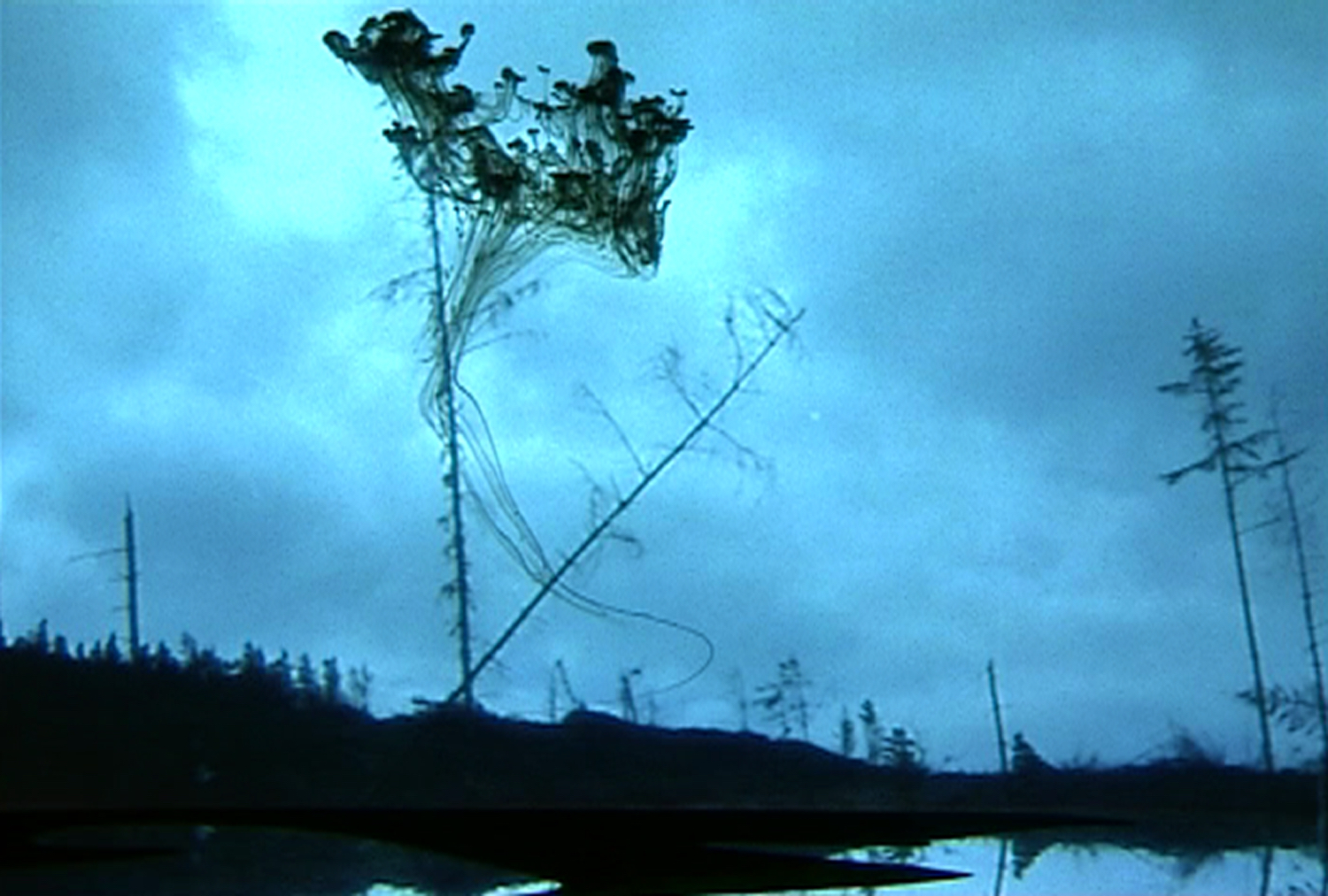 Ailbhe Ní Bhriain 'Immergence' video, colour, silent, looped, 14:03 min, 2004.