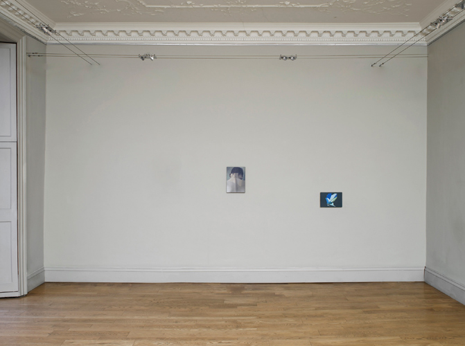 Christopher Hanlon 'Disseminatus' installation showing: 'Back' (left) 37×26cm/14.5×10.2in oil on linen stretched over board, 2012, 'Leaf' (right) 21.5×30cm/8.5×12in oil on linen stretched over board, 2012, photo by Andy Keate, courtesy domobaal