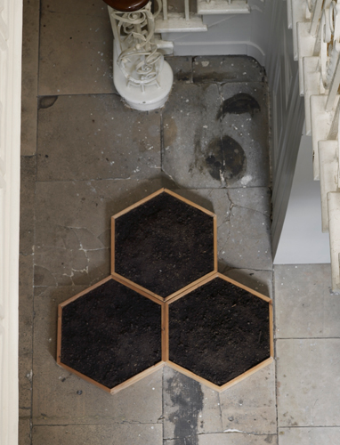 A Circle, image: International Lawns w. Ross Forrest 'Perivale Triple Hexagon with Royal Shady seed' from the 'Civic Lawn Archive' pine, polythene, topsoil, grass seed, 73 × 63 × 9 cm 2014; installation photography by Andy Keate
