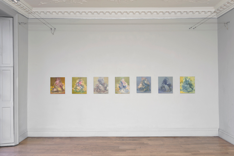  Lara Viana, installation view, photo by Andy Keate, 2016