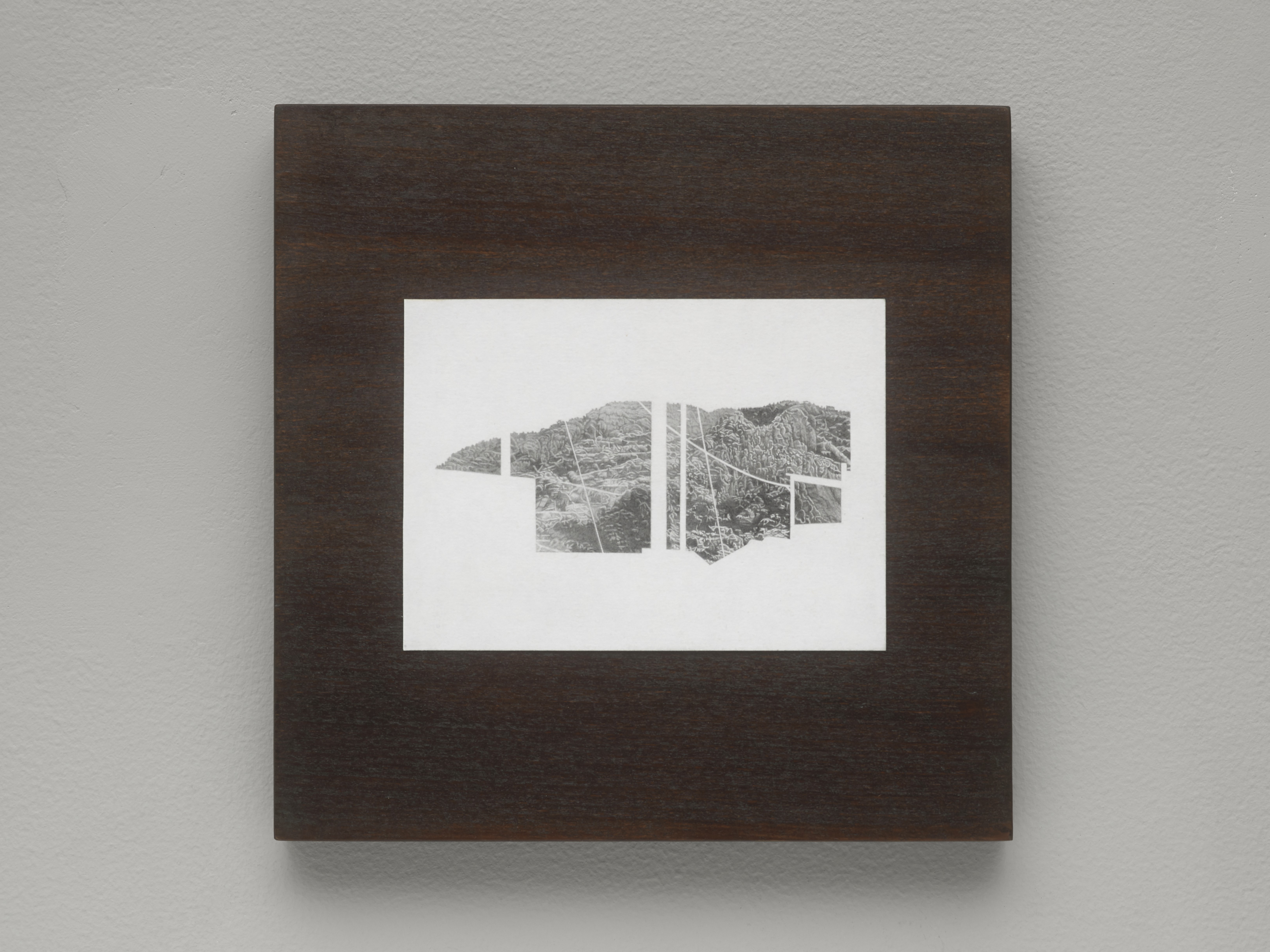 Lee Edwards 'Its our connection' 10.5×14cm graphite on paper, 2025, mounted on mahogany stained beech, 22×22cm, photo by Andy Keate