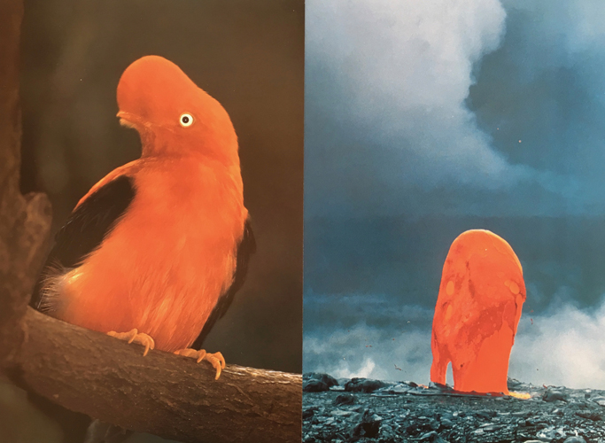 Nicky Hirst 'Elemental 243, 2018' found and paired pages, 25.1×34.2cm