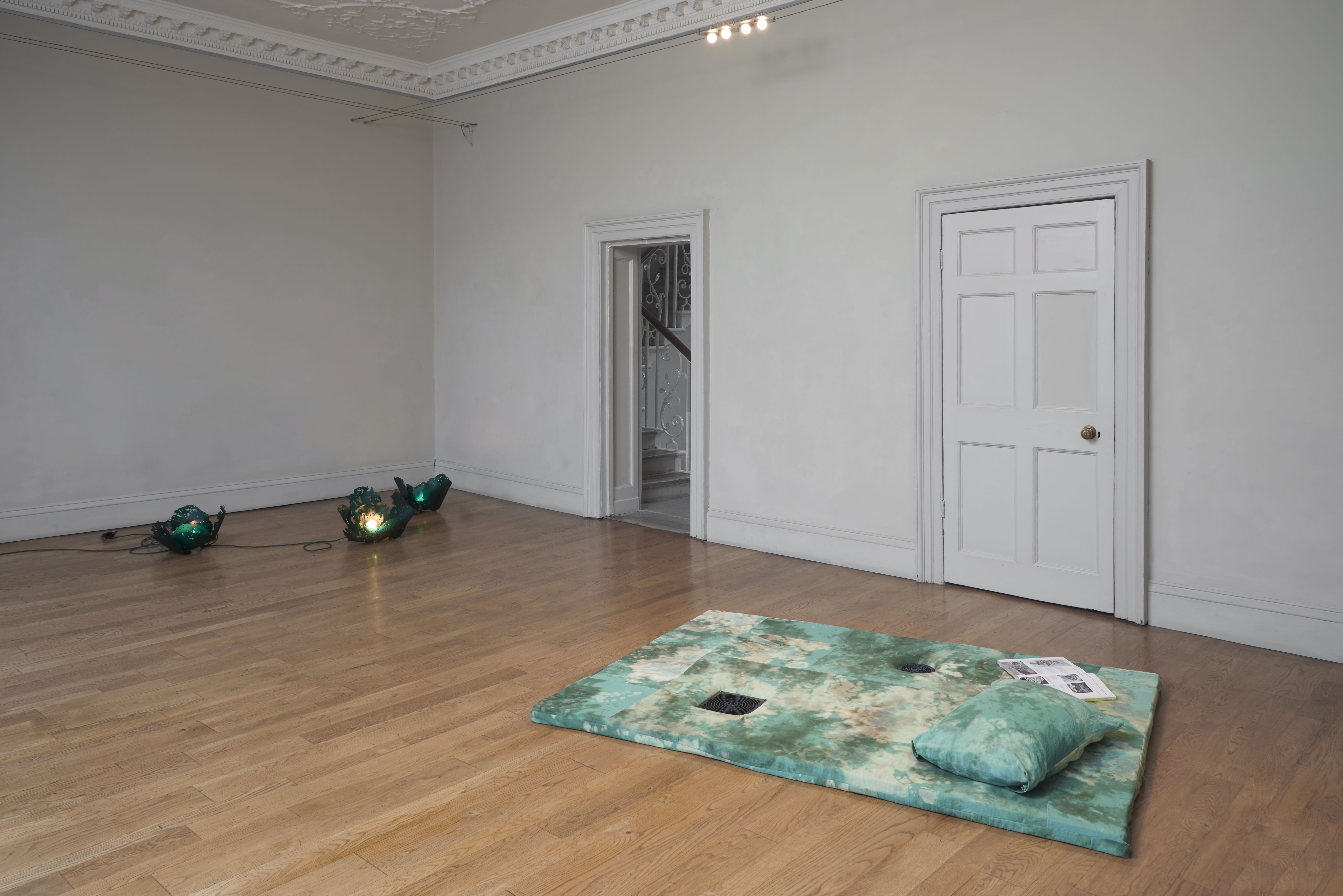 Rachel Adams 'Brassica' (group) frost acrylic, electric cable, metal fixings 36×45×45 cm, 2022 and 'Mildew' dyed and bleached linen, memory foam, mild steel, pillow 140×200×20 cm, 2022, installation photography by Andy Keate