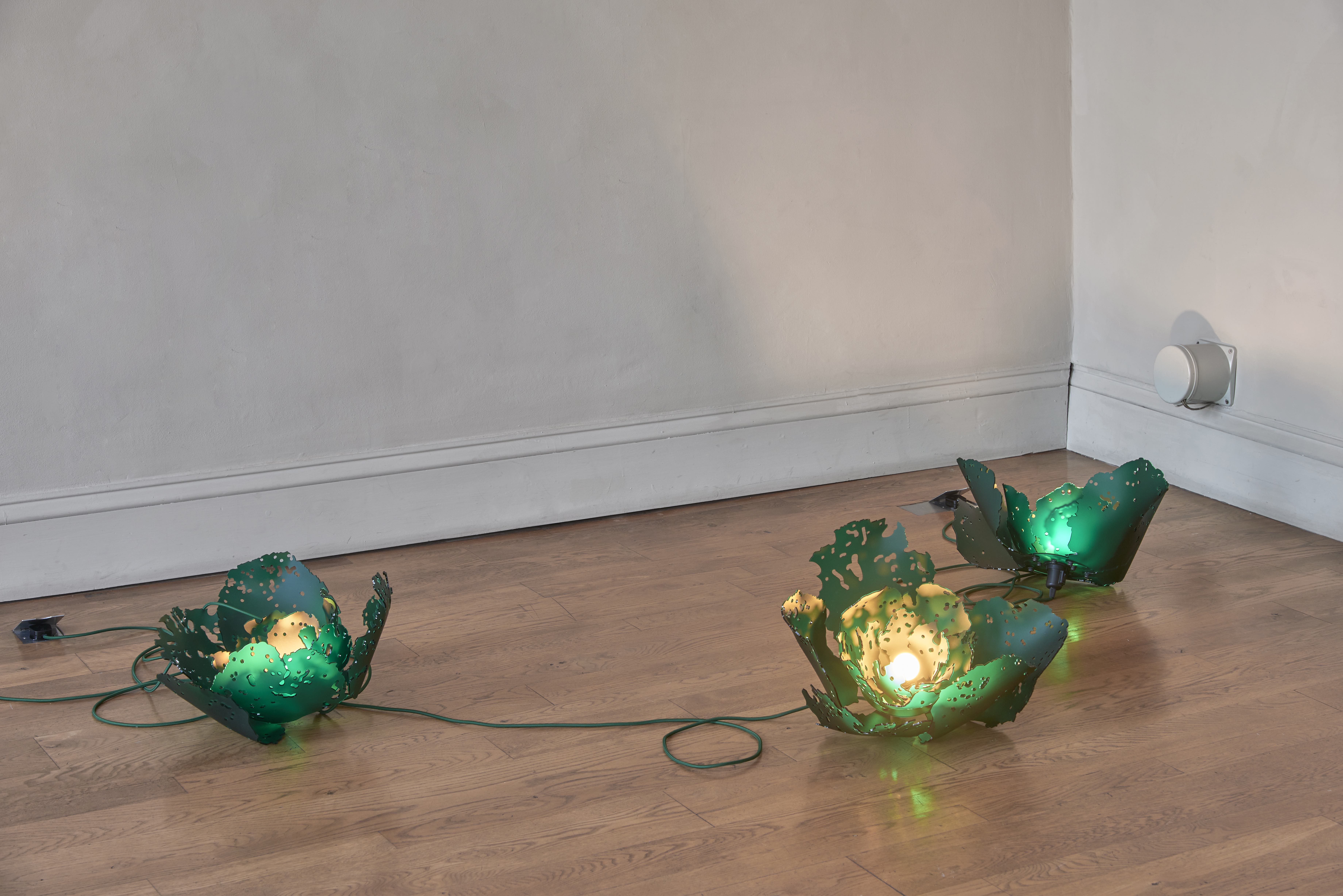 Rachel Adams 'Brassica' (group) frost acrylic, electric cable, metal fixings 36×45×45 cm, 2022; installation photography by Andy Keate)