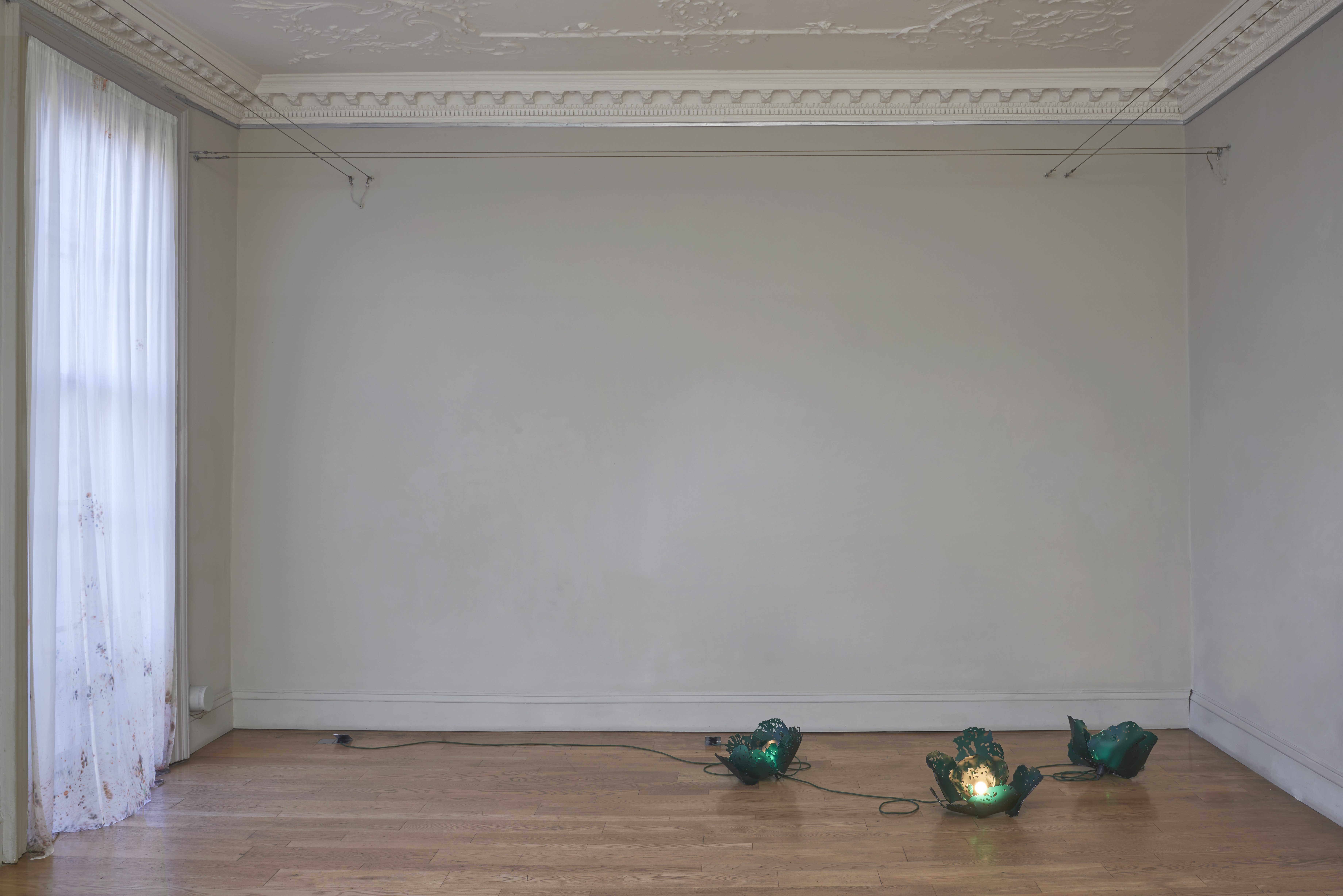 Rachel Adams 'Rising Damp' (detail) 3 × fabric paint on silk, 325×144 cm (each) and 'Brassica' (group) frost acrylic, electric cable, metal fixings 36×45×45 cm, 2022; installation photography by Andy Keate